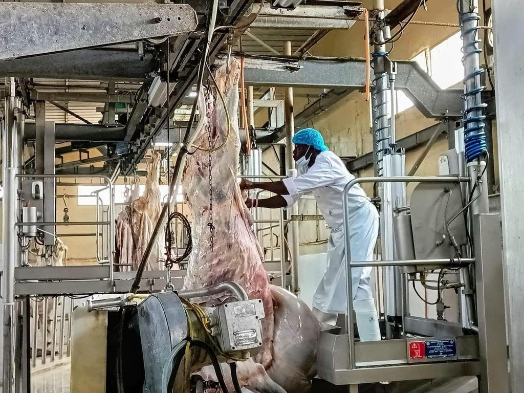 Opérateur travaillant une carcasse de bœuf à l'atelier Sauci'Sen